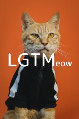 lgtm-cat-image