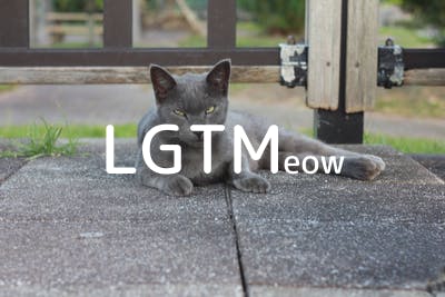 lgtm-cat-image