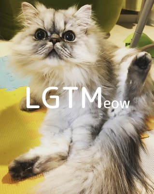 lgtm-cat-image