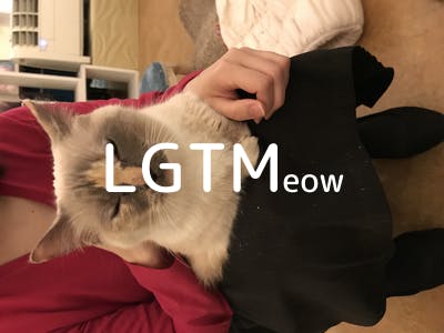 lgtm-cat-image